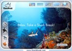 http://www.sharkbreak.com/